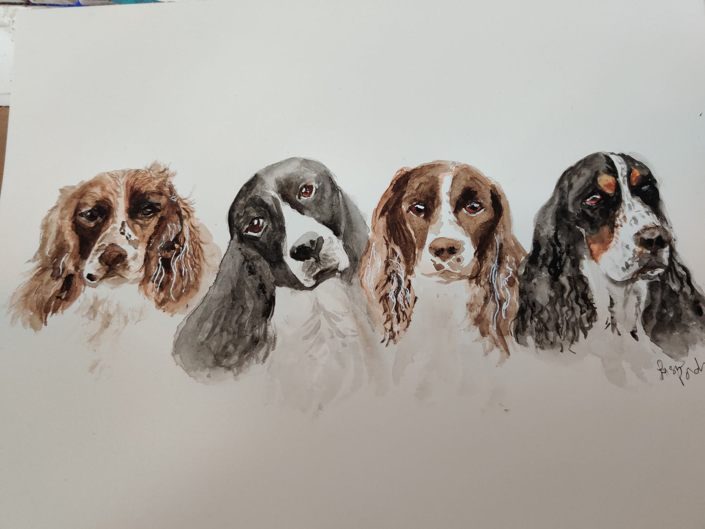 Commissioned Pet Portrait