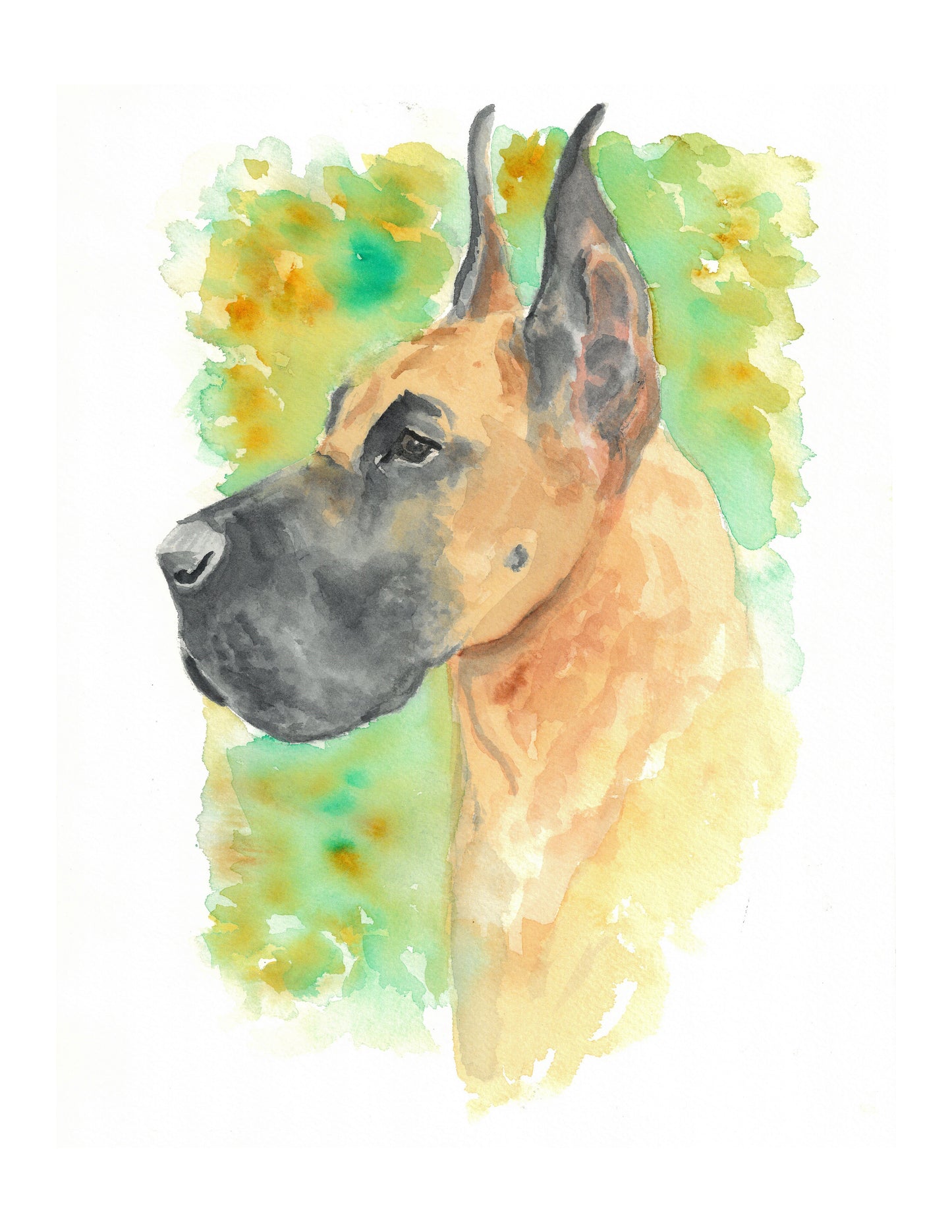 Great Dane