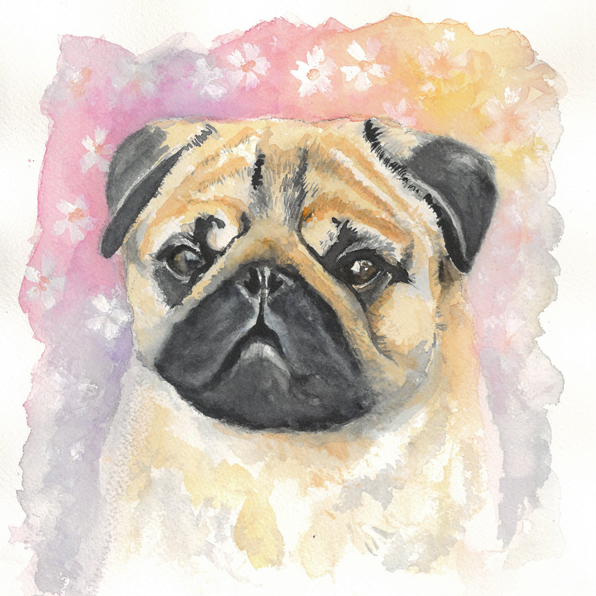 Pug