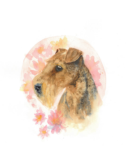Welsh Terrier
