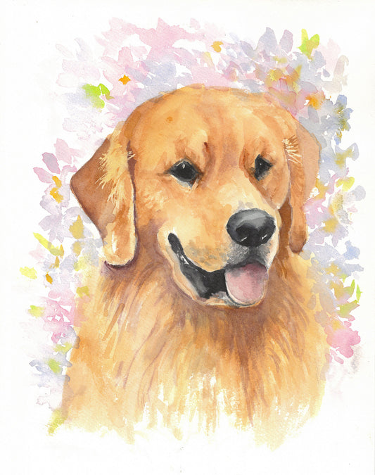 Golden Retriever