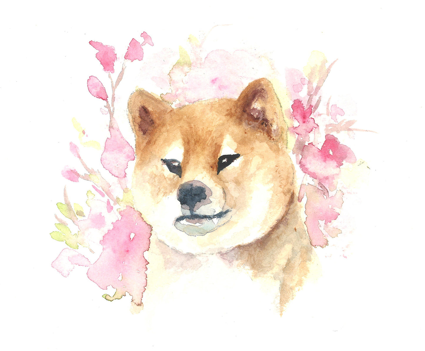 Shiba Inu