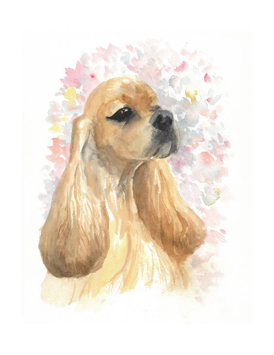Cocker Spaniel II
