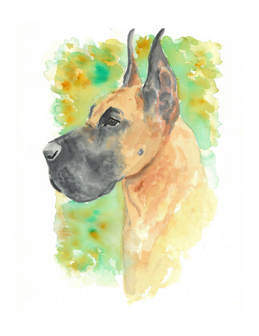 Great Dane