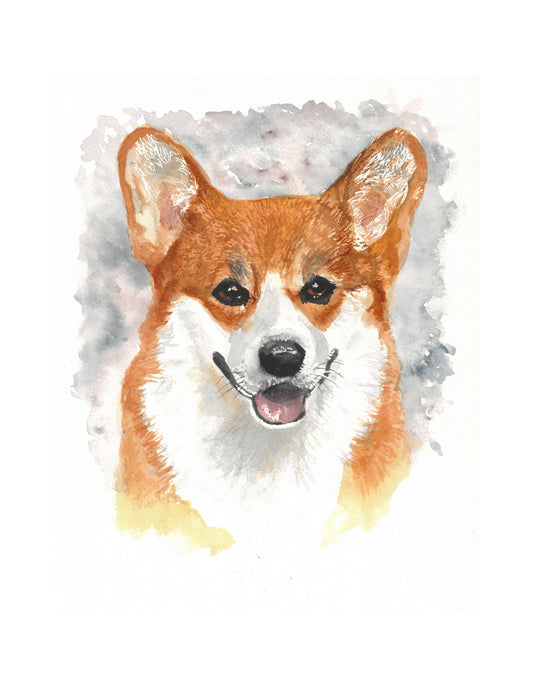 Pembroke Welsh Corgi