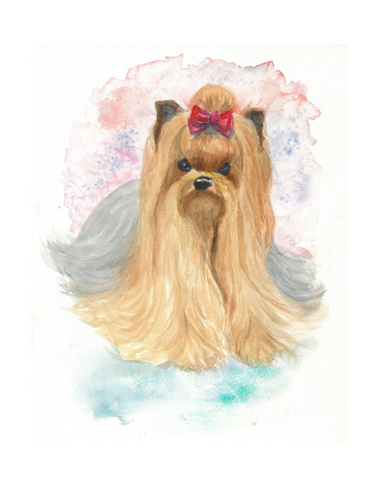 Yorkshire Terrier